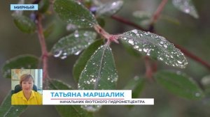 Лето вернётся в Мирнинский и Ленский районы в первой неделе августа