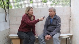 В гостях у Баюшева Владимира Геннадьевича.Омские белые хохлатые статные голуби.