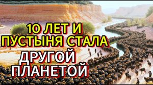 1000 БИЗОНОВ бросили в ПУСТЫНЕ. Через 10 лет они СДЕЛАЛИ ЭТО...