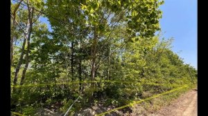 Соловей ключ участок 10 соток СНТ Диана