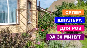 Супер шпалера для роз и клематисов