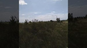 20250728_142128.mp4