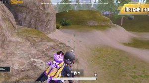 Ливик дп и мка