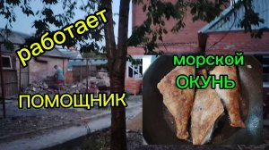 Ейск ! Заказали ПРОЕКТ ! Преображение двора КУПЕЧЕСКОГО дома, работает помощник, наводим порядок !