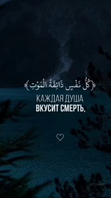 Послушайте ради Аллаха Всевышнего 🥺🥺🥺😔🙏🙏🙏 смотреть онлайн