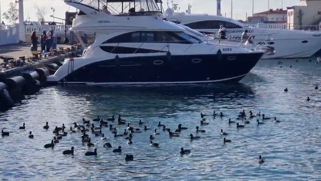 31 декабря 2024 г. смотреть онлайн