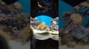 Ростовский зоопарк 2025