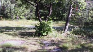 с. Смолькино  часть 8 Рачейские Альпы ленточное дерево  г Сызрань "без прикрас"