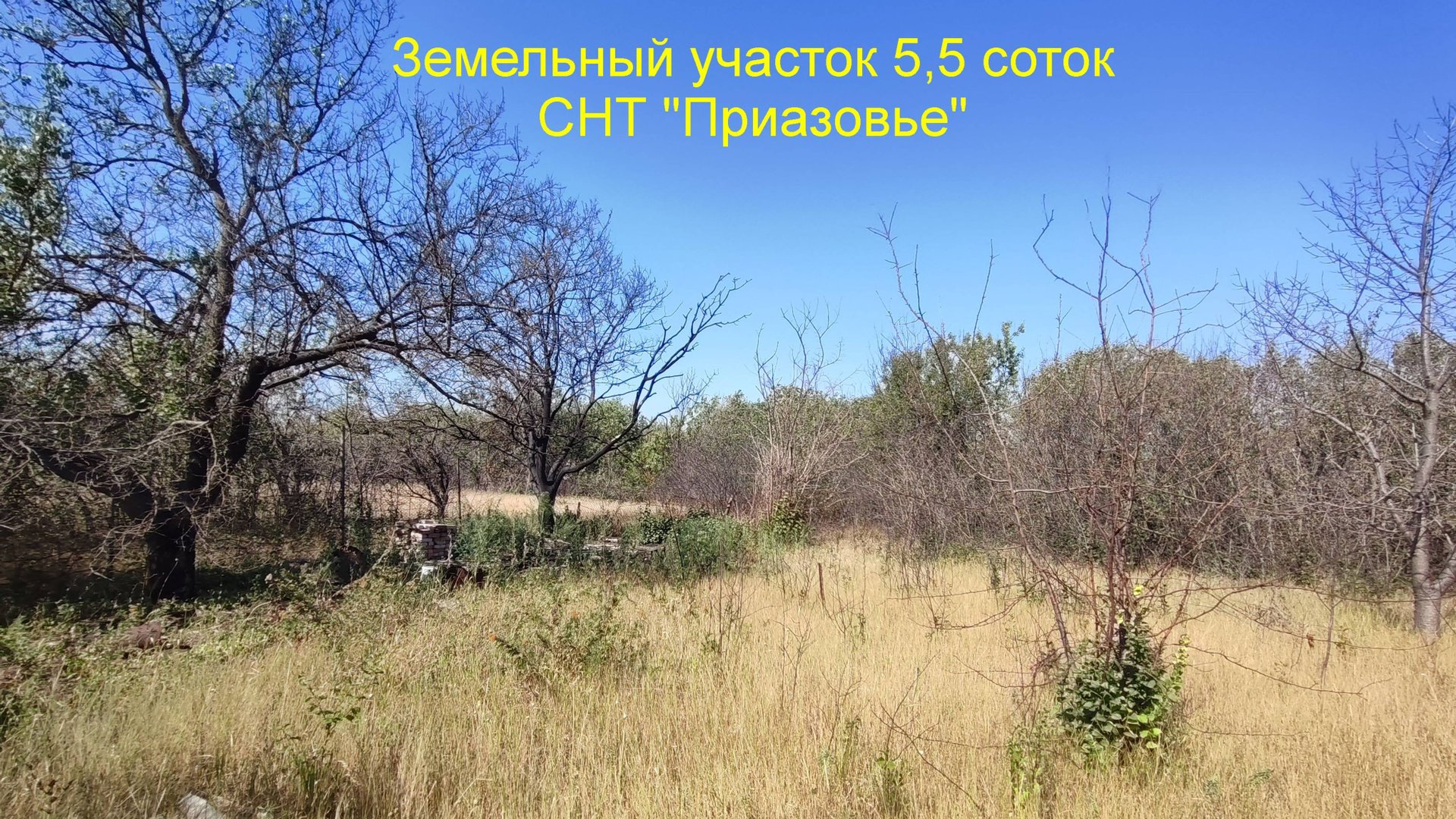 Дачный участок СНТ "Приазовье" смотреть онлайн