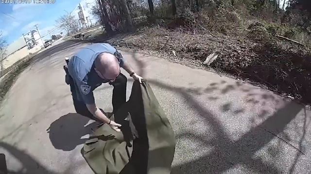 45 Героев, Которые Спасли Жизни Животных смотреть онлайн