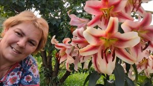 ВОЛШЕБСТВО ДО МУРАШЕК // ПРОСПАЛА НА РАБОТУ // АБЫ НАПИСАТЬ