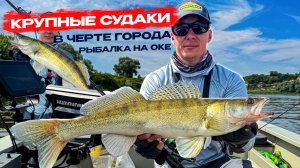 КРУПНЫЕ СУДАКИ В ЧЕРТЕ ГОРОДА! РЫБАЛКА НА ОКЕ!