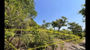 Соловей Ключ Участок №164  10 соток СНТ Диана