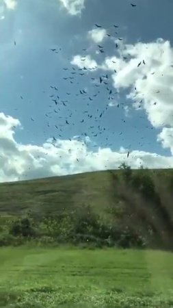 Это похоже на безумный глюк в Матрице.