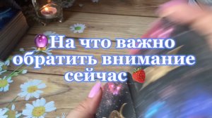 На что сейчас важно обратить внимание 🔮Таро