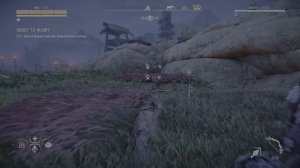 Тишина под панцирем Сканера