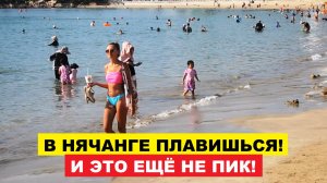Вьетнам Нячанг погода сегодня 29 июля 2025 ☀️ Море +27 и духота: Нячанг встречает туристов