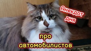 Анекдот дня.
Про автомобилистов