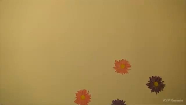 Моё АСМР смотреть онлайн