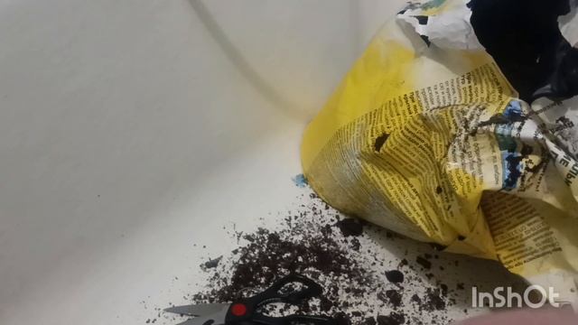 Такого я не ожидала. Пересаживаю цветы. #like #youtube #цветы #болталка