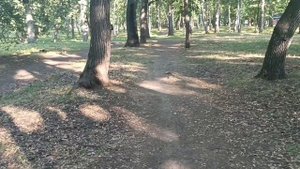 *СЧАСТЬЕ ЛЮБИТ  ТИШИНУ*ЕЛЕНА КАРПУК. Прекрасные слова., хорошая прогулка, может счастье найду.!!!!!