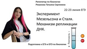 Репликация ДНК. Опыт Мезельсона и Сталя.