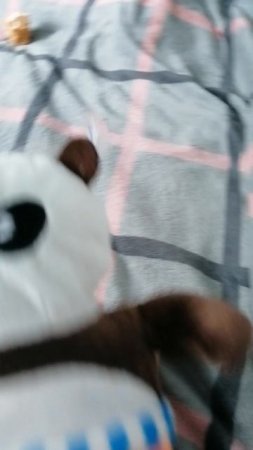 VID_20250727_120330.mp4