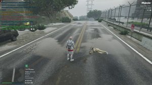 высеры частного адвоката