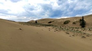 Чара, бегом вокруг пустыни - Чарские пески. Забайкальский край. Проект "Путешествуя Бегом" 2022 год.