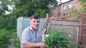 Раскрыли теплицу. Вялим перепелов. Огород спасаем от жары.Жизнь на Кубани
