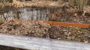 Дачу нашу подтопило.Дача за 300000