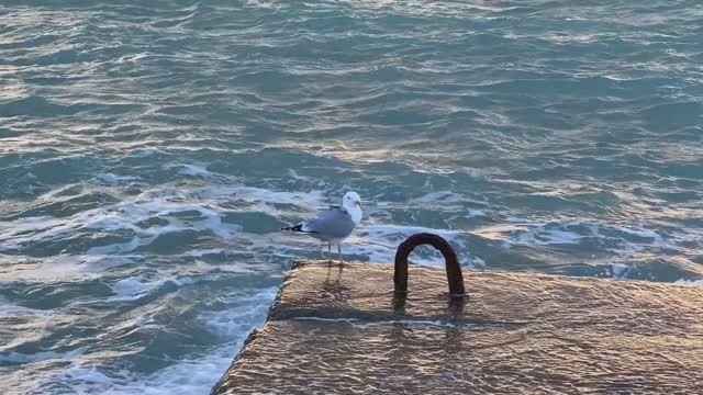 Travel to Crimea - Крым смотреть онлайн