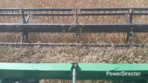 Уборка 2025! Началась без меня!