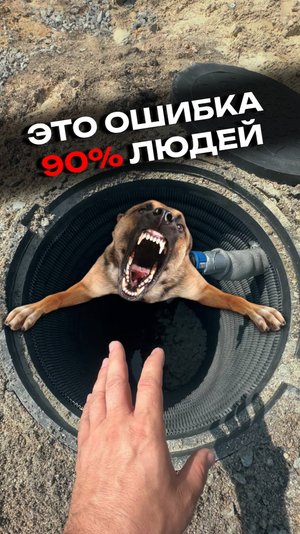ЭТО ОШИБКА 90% ЛЮДЕЙ! Смотрите, как надо делать дренаж🤔