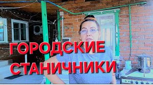 655 Городские Станичники. С утра одна на хозяйстве