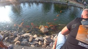 Новый Херсонес Севастополь