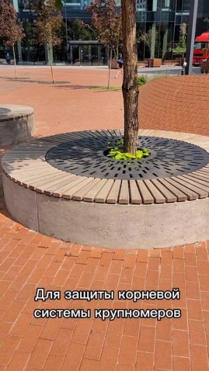 История липовой аллеи на бульваре Братьев Весниных | ЖК «ЗИЛАРТ»