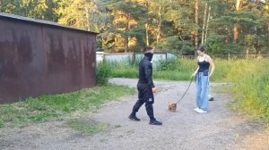 Собака тянет поводок и бежит вперëд хозяйки. Часто проблема в самом хозяине. Правильное управление