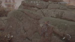 Среди жала и корней