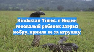 Hindustan Times: в Индии годовалый ребенок загрыз кобру, приняв ее за игрушку