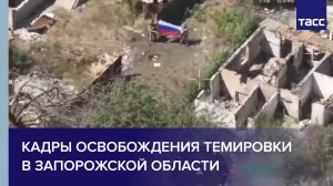 Кадры освобождения Темировки в Запорожской области