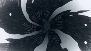 1000080244.mp4