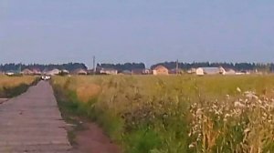 Поле, вечерняя прогулка.