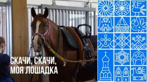 Мастерство езды на лошадях продемонстрировали под Череповцом