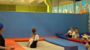 Московская академия гимнастики