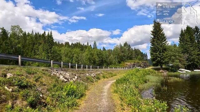 Trailrunners Paradise Virtual Run in Stunning Nature Scenery Treadmill