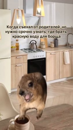 Зато мы точно знаем, где покупать кухонные гарнитуры #hoff #home #дом #мама