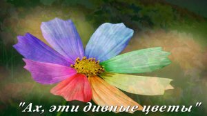 Ах, эти дивные цветы. Радуга цветов Автор ролика Татьяна Панченко, стихи Ларисы Адиановой