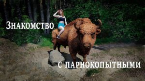 Обзор приокско-террасного заповедника