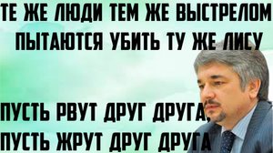 Ищенко: Пусть рвут друг друга, пусть жрут друг друга.Те же люди тем же выстрелом пытаются убить лису